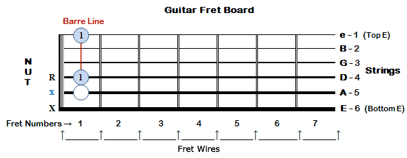 Fretboard & Guitar Strings