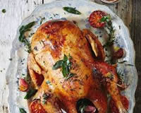 Christmas Roast Turkey